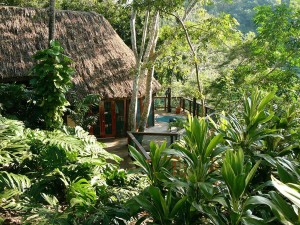 Tree top Cottage, Chaa Creek