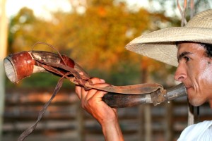 A Brazilian man calling the cattle with berrante.