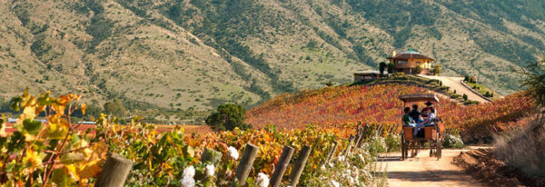 Chile Wine Region and Lakes District