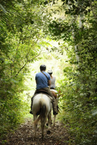 Chaa Creek horseback riding