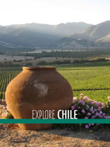 A pot sits before a vineyard in Chile.