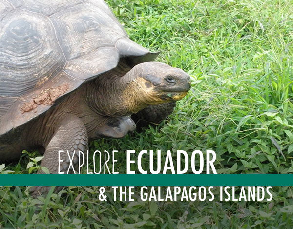 Explore Ecuador & The Galapagos Islands