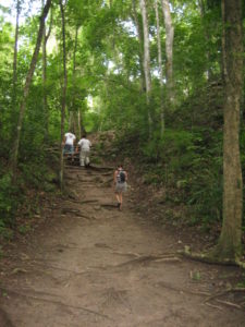 Hiking trail in Guatemala.