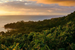 Lapa Rios Ecolodge, Corcovado