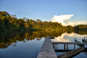 La Selva in Ecuador.