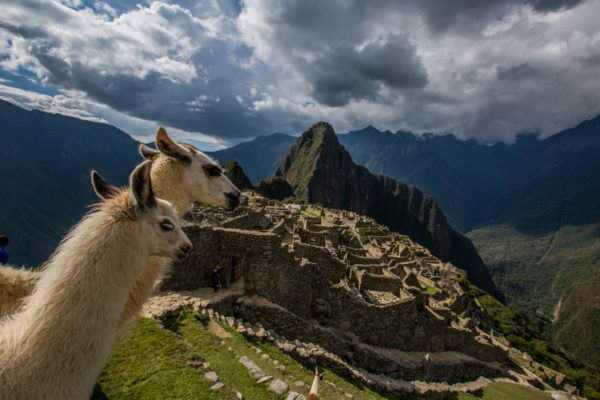 Classic Machu Picchu