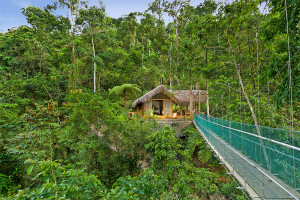 Bridge leading to a treetop cottage in Costa Rica.