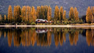 Puema Hue in Argentina.