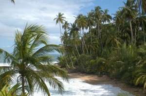 Corcovado Beach in Costa Rica.