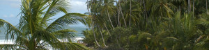 Corcovado Beach in Costa Rica.