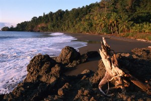 Corcovado South Pacific in Costa Rica.