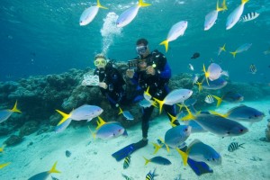 A couple scuba dives with fish in Honduras.