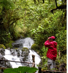 bird watching in Panama