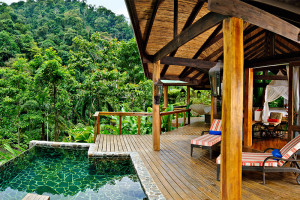 A treetop room with a pool in Costa Rica.