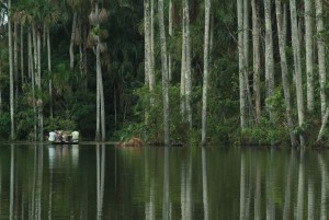A group touring the Inkaterra Amazonica in Peru.